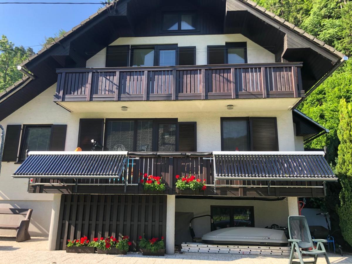 Apartamento Savadolinka House *