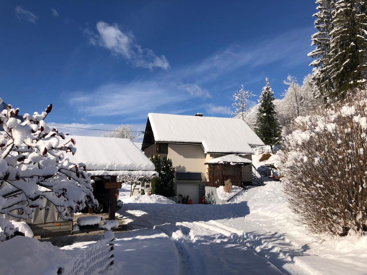 Savadolinka House * Mojstrana